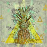 Fruits Vol.1 Ananas