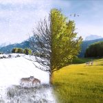 Alles auf Anfang ...