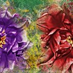 Mystery of flowers 2