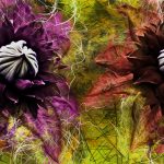 Mystery of flowers 3