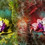 Mystery of flowers 4