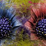 Mystery of flowers 5