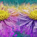 Mystery of flowers 6