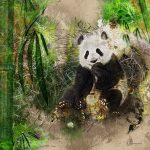 Wild life Panda