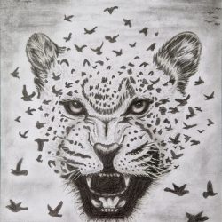 1_LEO Reinz